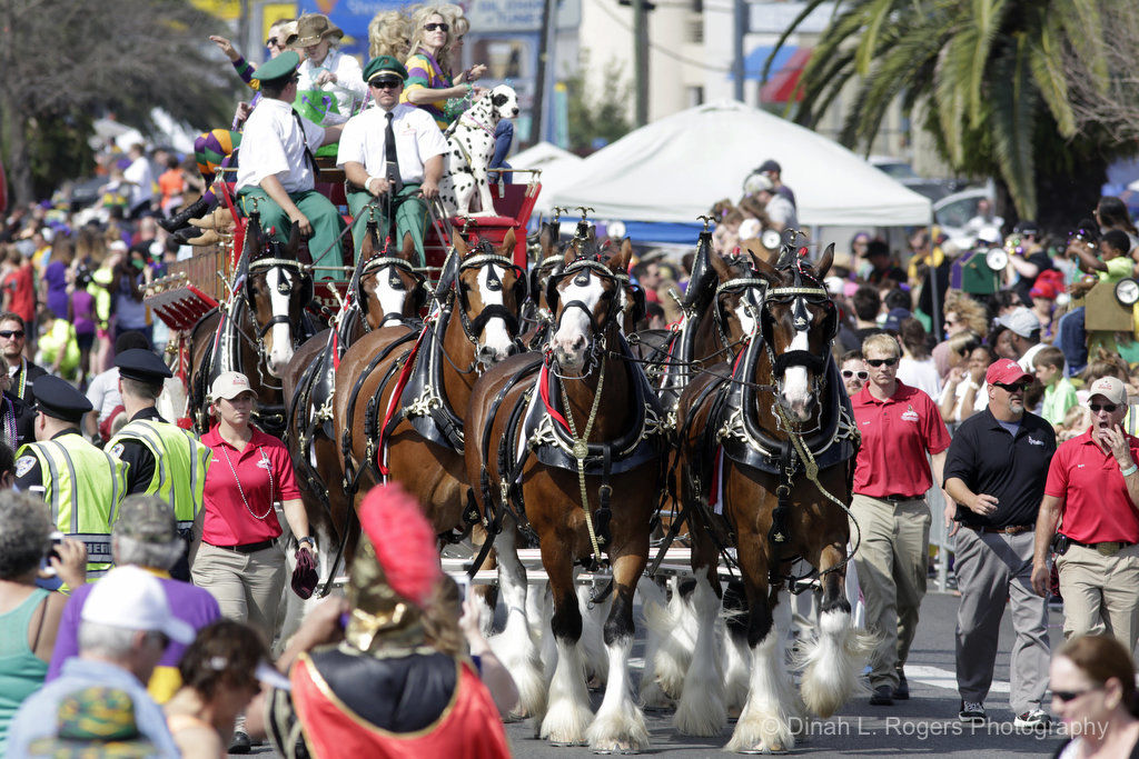 Argus rolls in Metairie: See photos of the Mardi Gras parade